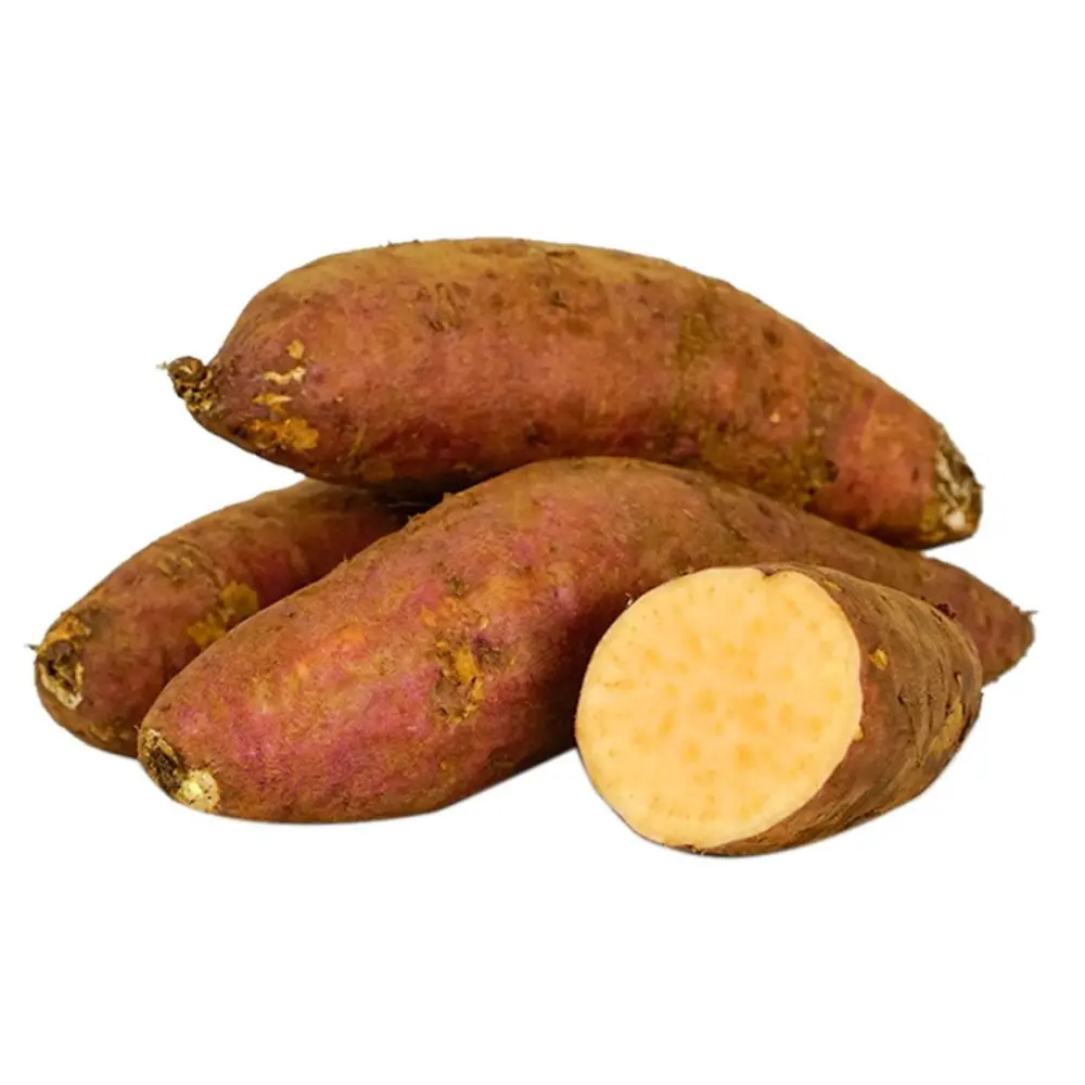 Khoai Lang Mật -  Sweet Potato - NONBRAND