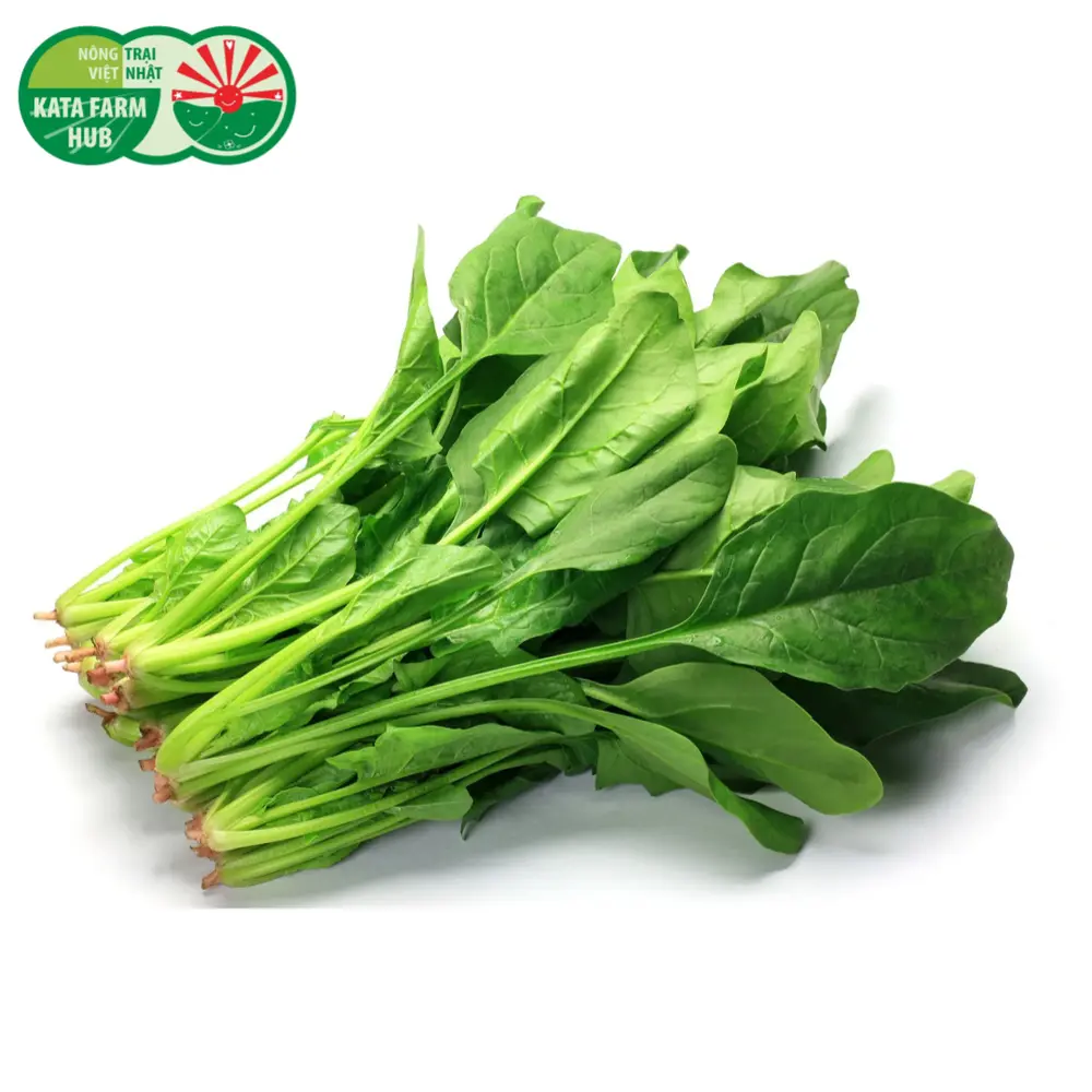 Cải Bó Xôi Con Giống Nhật - Mini Japanese Spinach (250g) - KATA FARM HUB