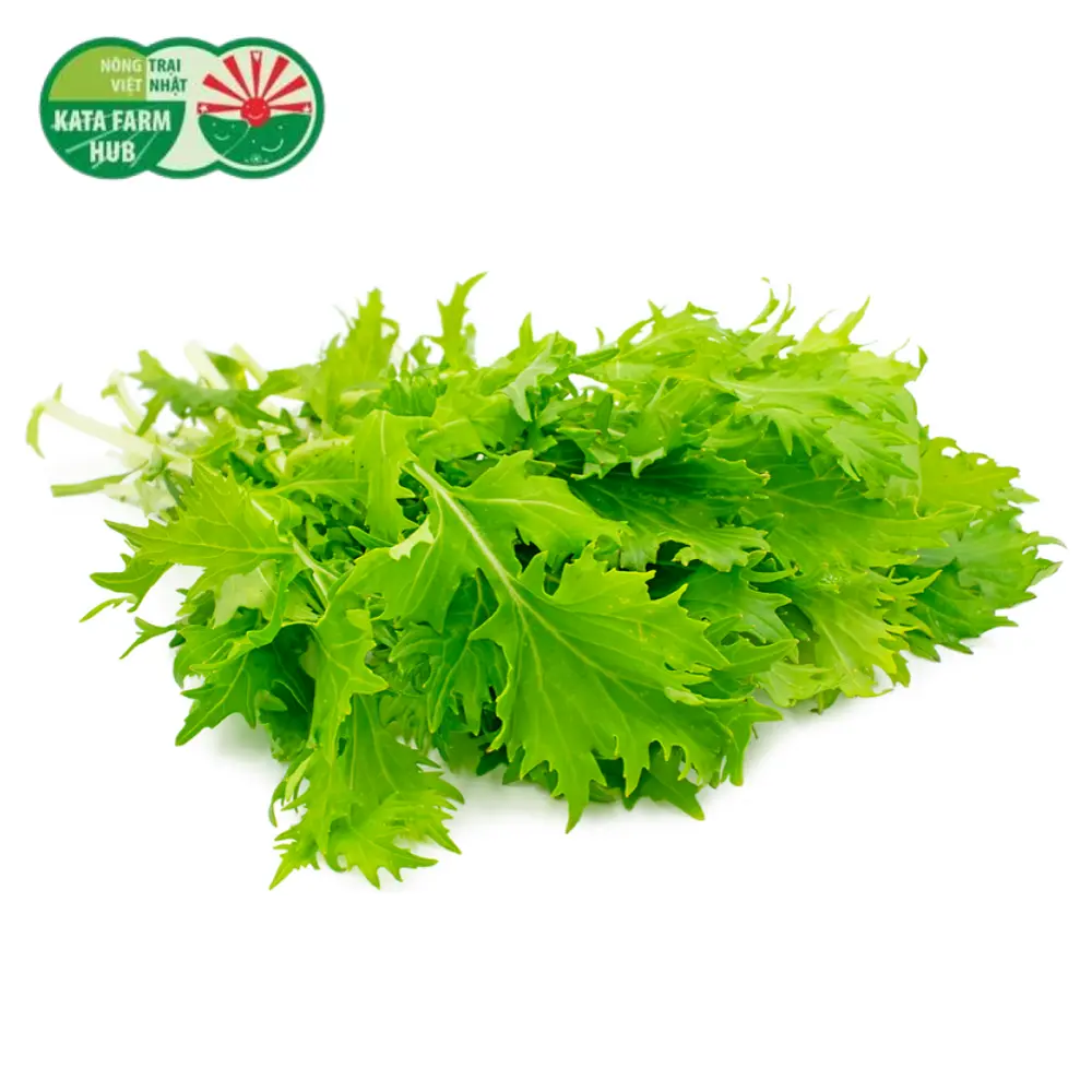 Cải Đuôi Phụng - Mizuna (250g) - KATA FARM HUB