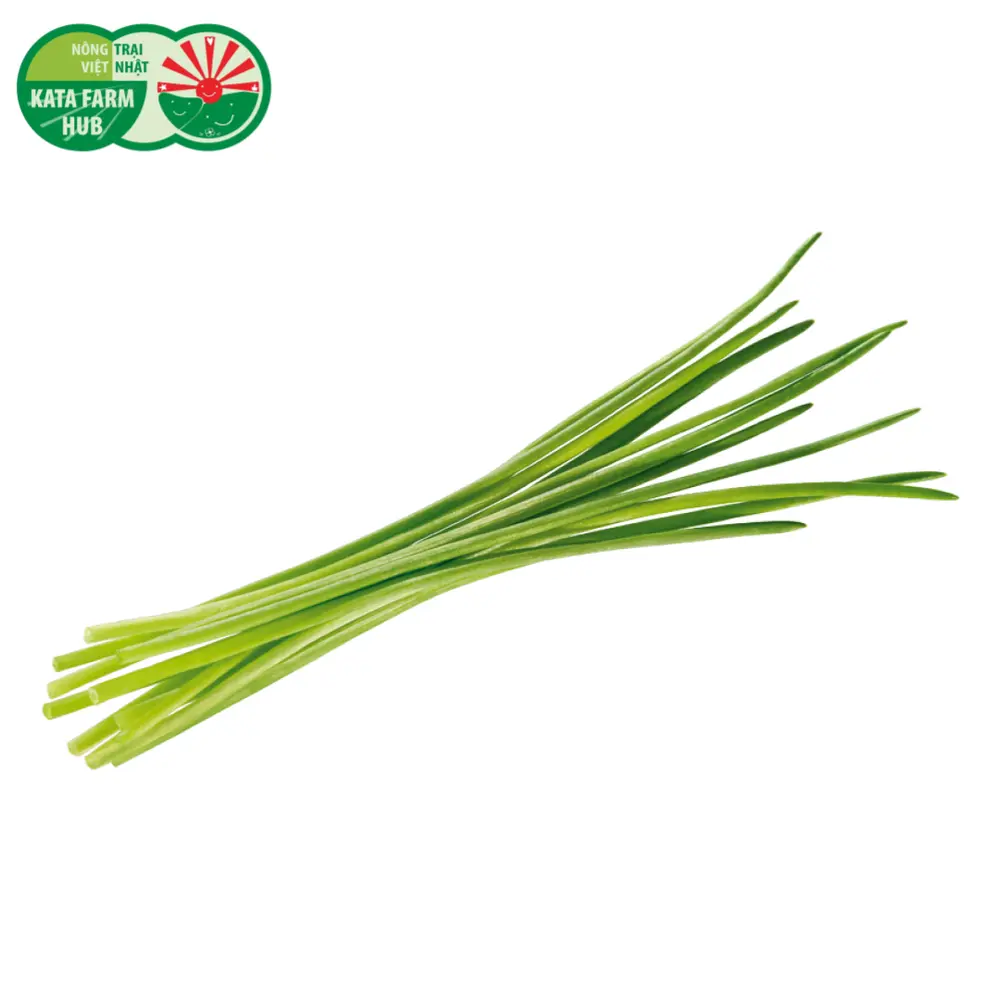 Hẹ Sẻ - Garlic Chives (100g) - KATA FARM HUB