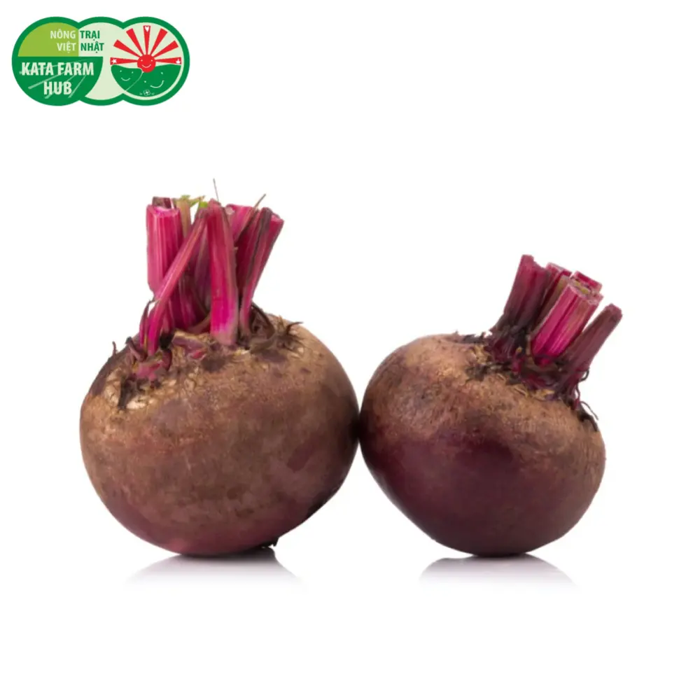 Củ Dền - Beetroot - KATA FARM HUB