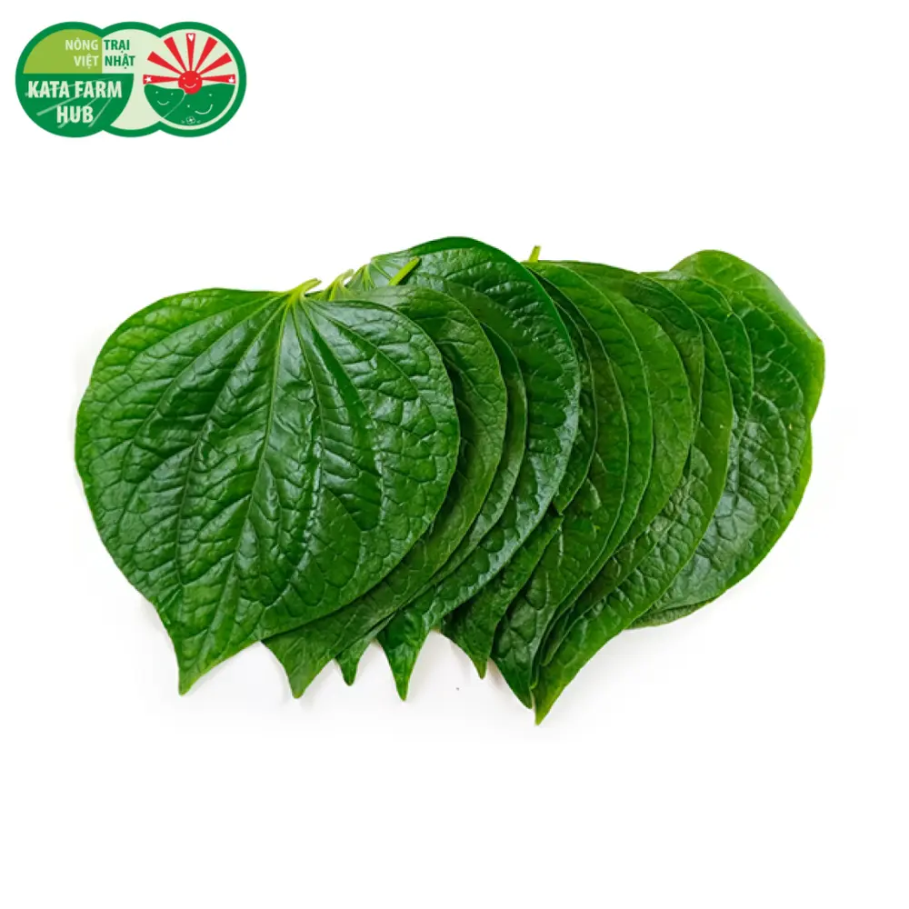 Lá Lốt - Piper Lolot Leaves (100g) - KATA FARM HUB