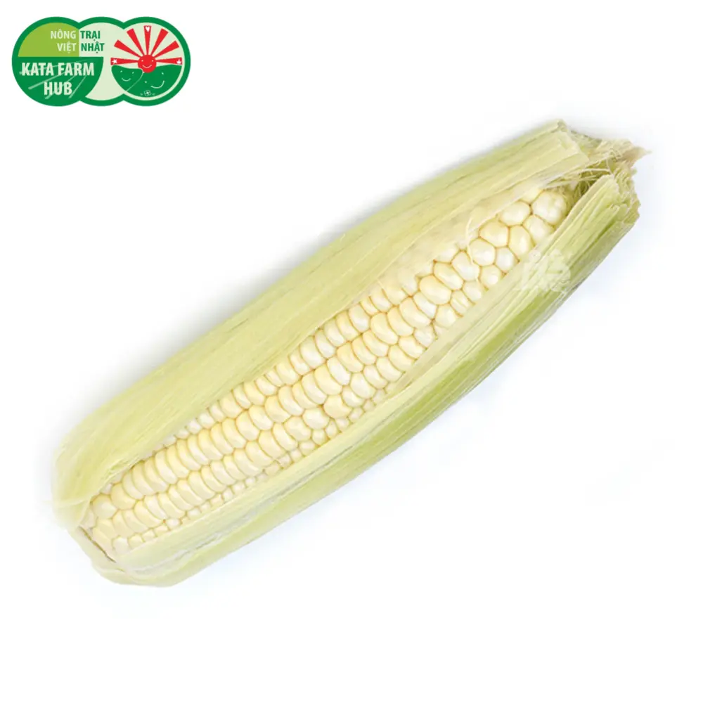 Bắp Nếp Non - White Waxy Corn - KATA FARM HUB