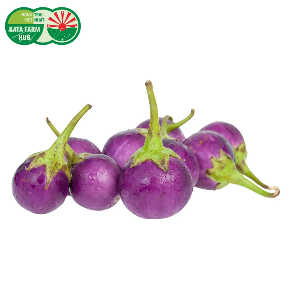 Cà Pháo Tím - Thai Lavender Frog Egg Eggplant (300g) - KATA FARM HUB