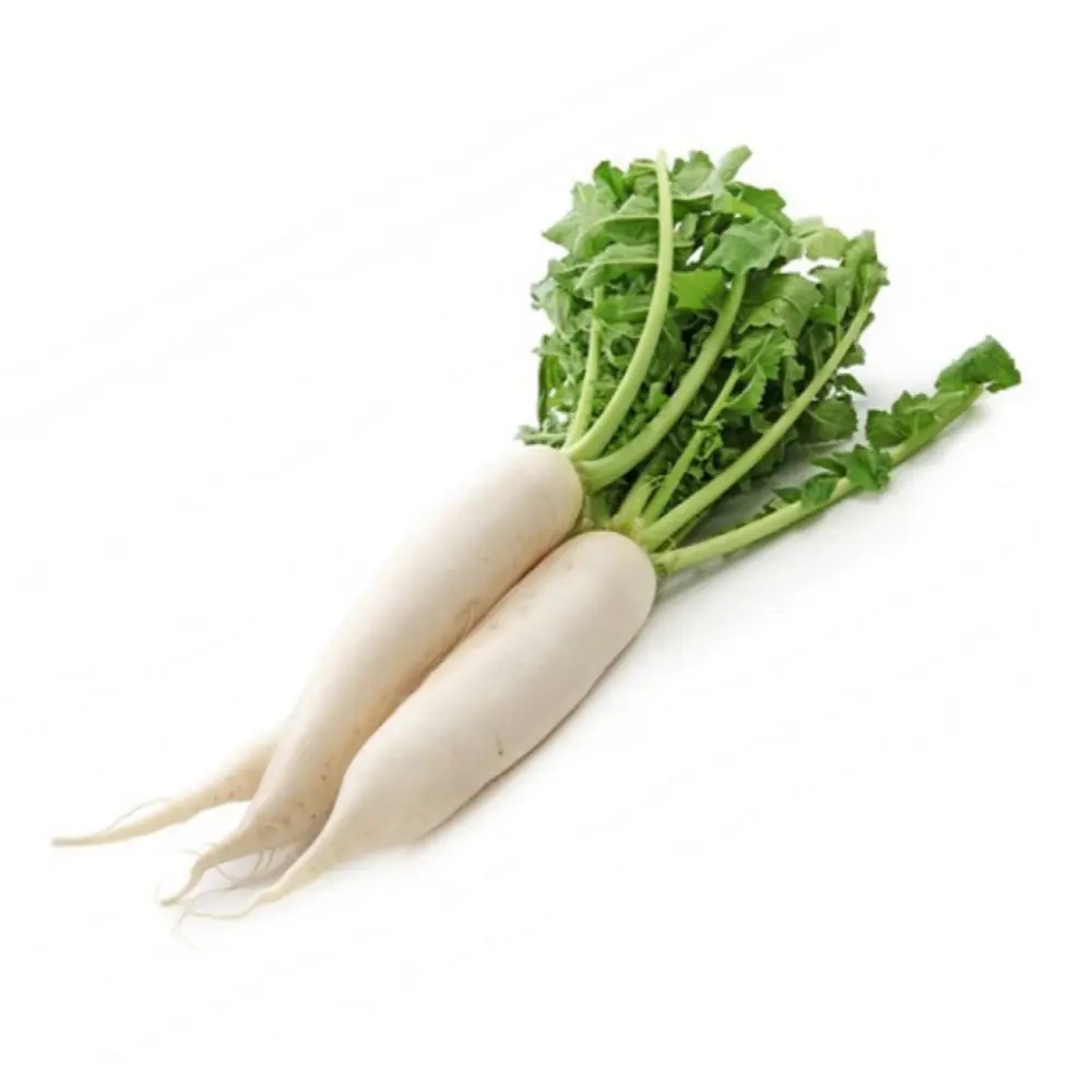 Củ Cải Trắng Đà Lạt - Da Lat White Icicle Radish - NONBRAND