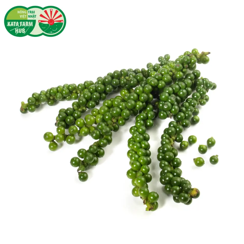 Tiêu Xanh Nguyên Chùm - Fresh Green Peppercorn Branch (100g) - KATA FARM HUB