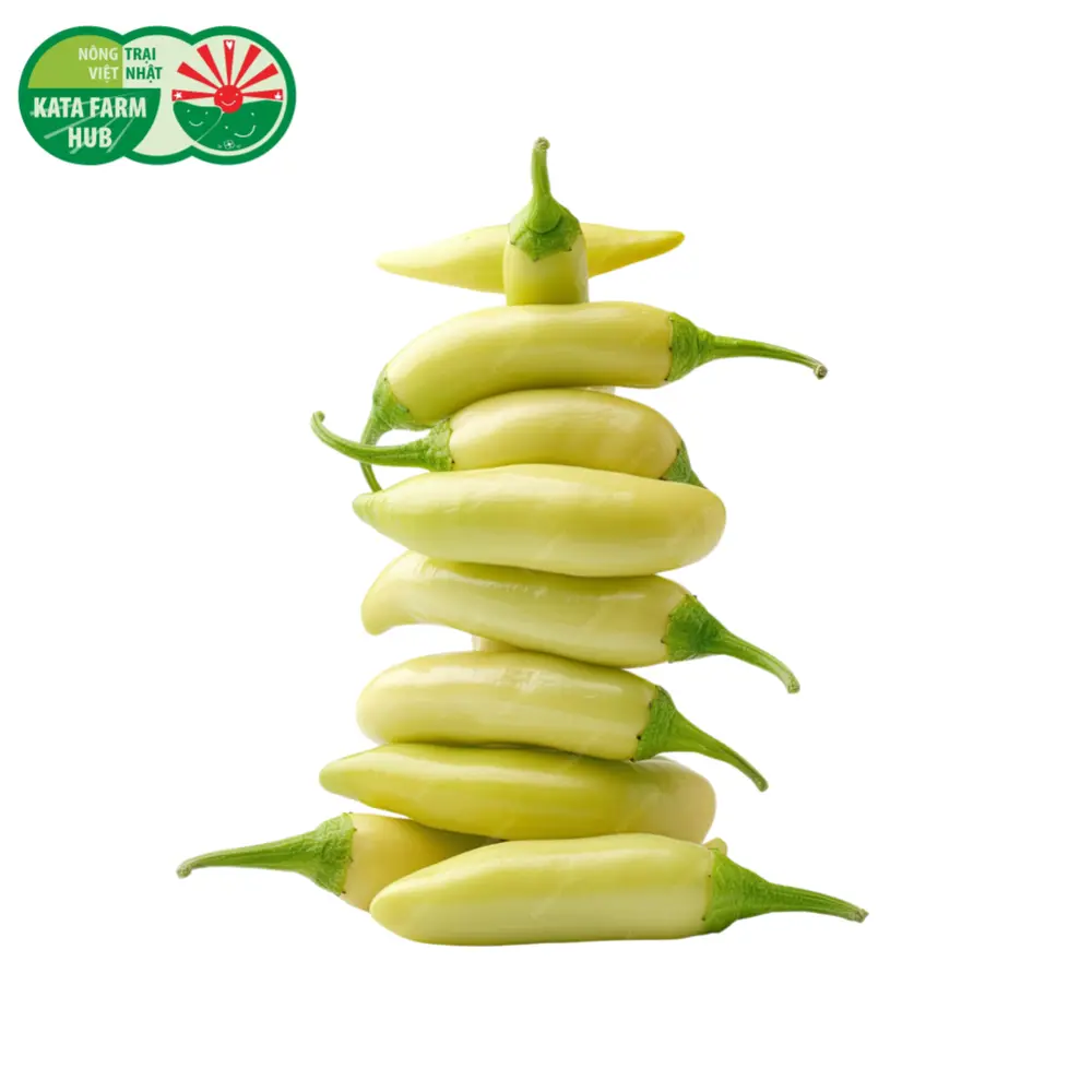 Ớt Xiêm Trắng - White Chillies (50g) - KATA FARM HUB