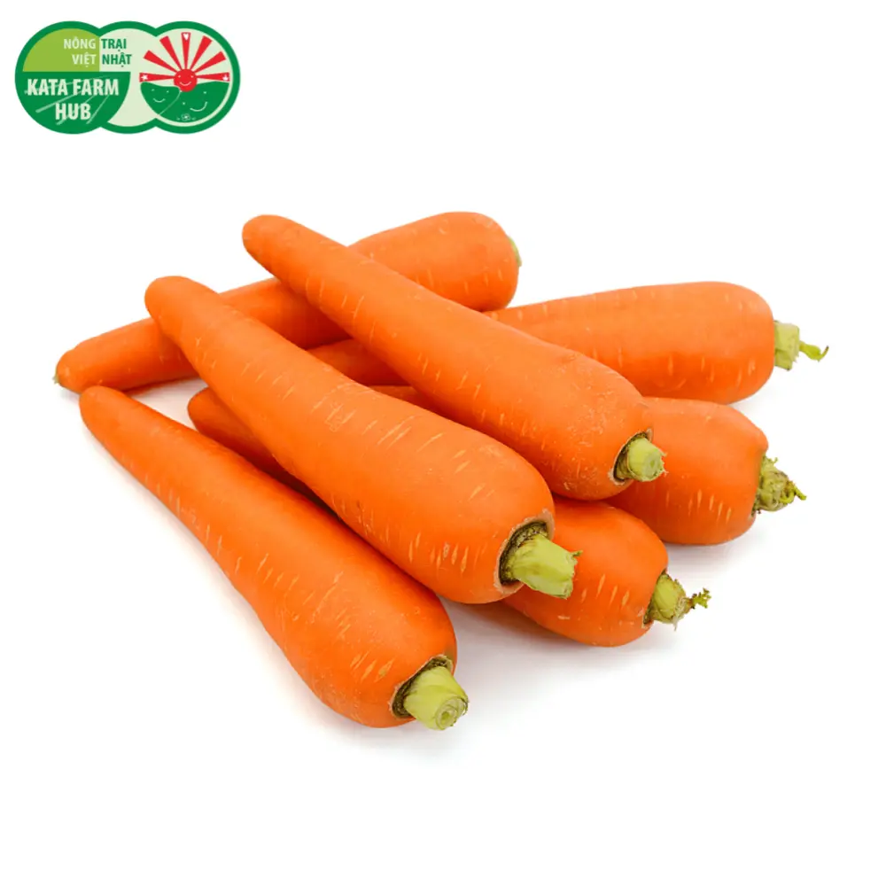 Cà Rốt Baby - Baby Carrots - KATA FARM HUB