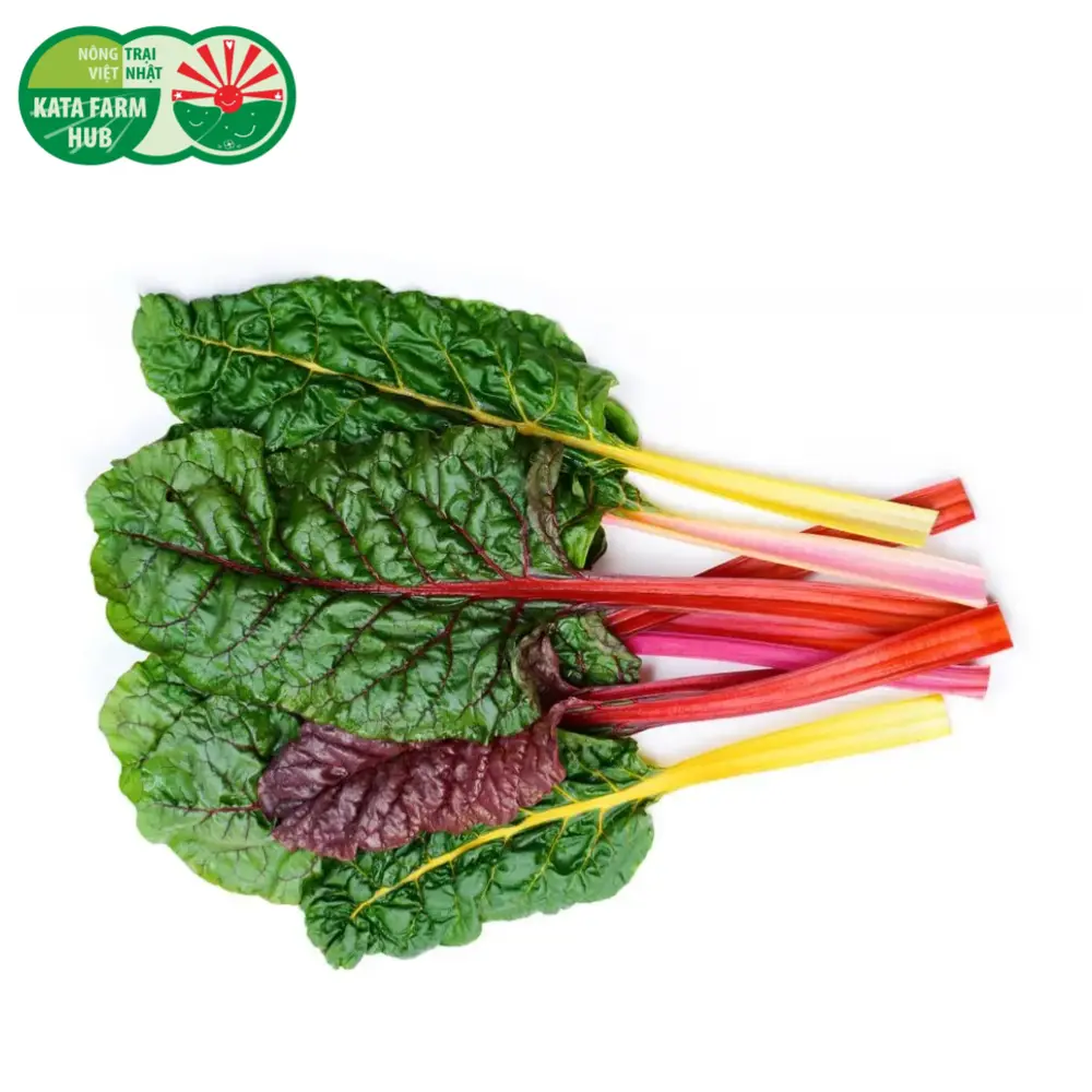 Cải Cầu Vồng - Swiss Chard (250g) - KATA FARM HUB
