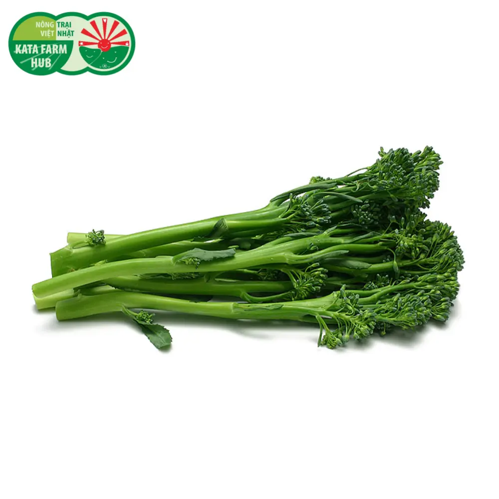 Súp Lơ Baby - Baby Broccoli - KATA FARM HUB