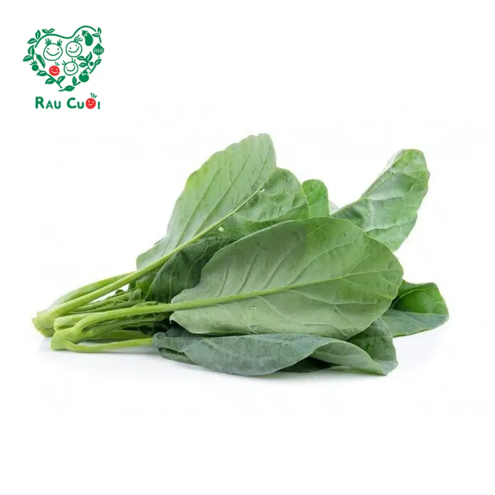 Cải Bó Xôi - Spinach (250g) - RAU CUOI VIET NHAT