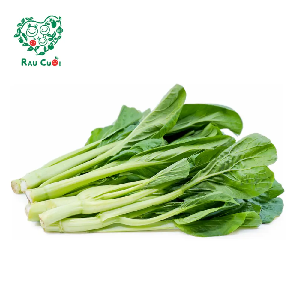 Cải Ngồng - Choy Sum (250g) - RAU CUOI VIET NHAT