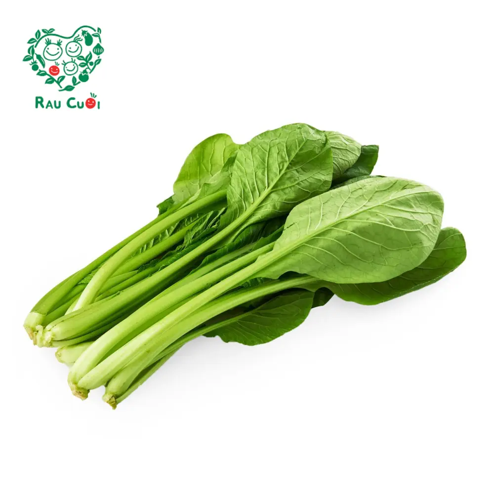 Cải Ngọt - Japanese Spinach (250g) - RAU CUOI VIET NHAT