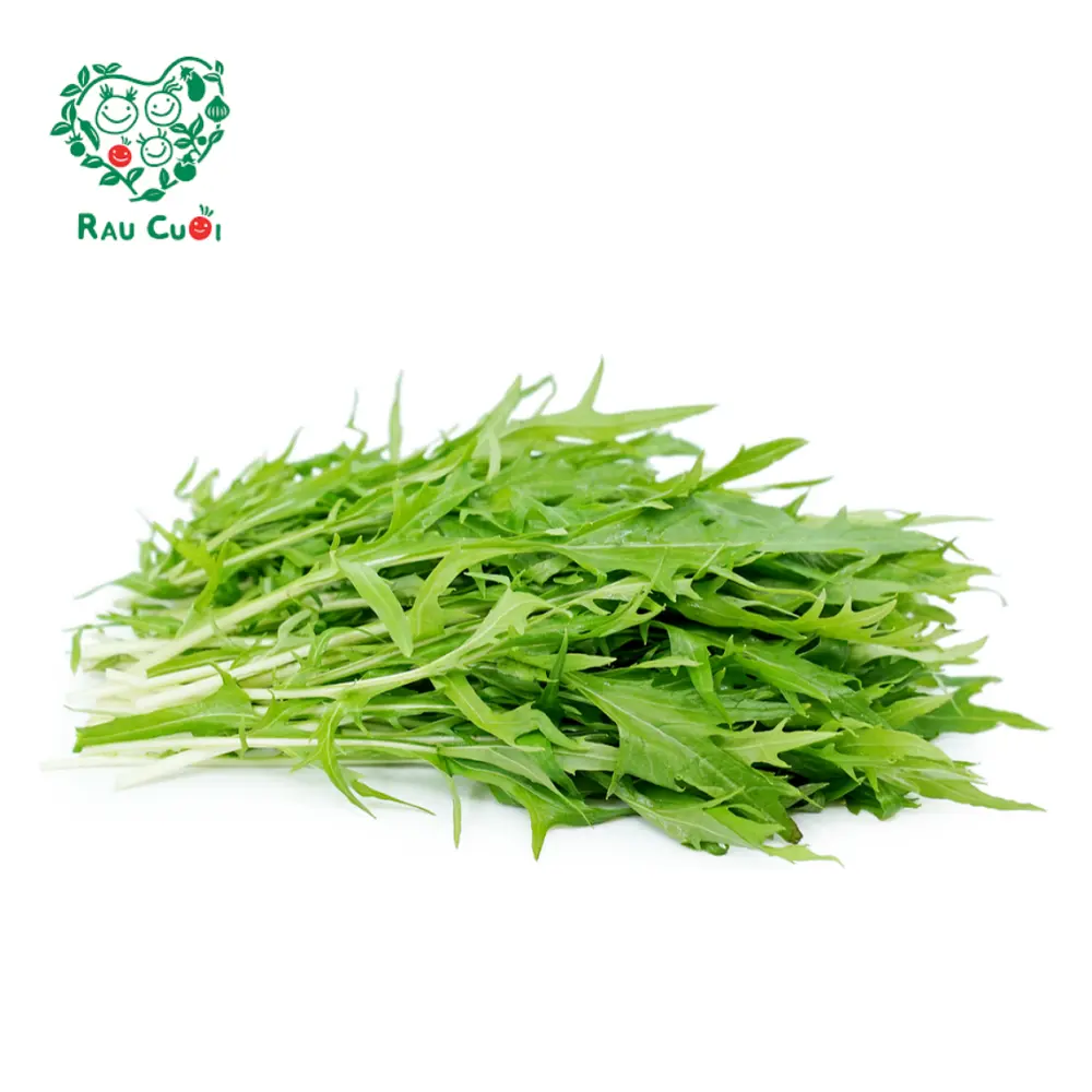 Cải Phụng - Mizuna (250g) - RAU CUOI VIET NHAT