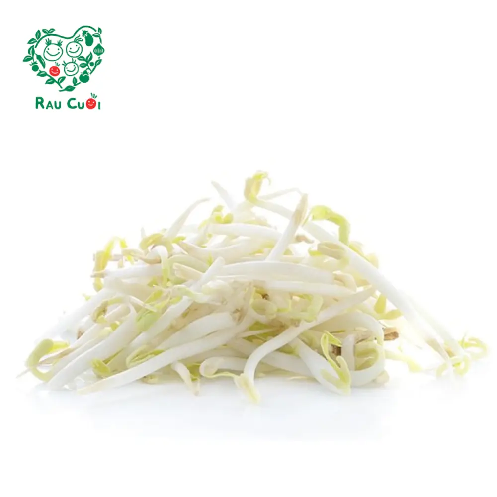 Giá Đậu Xanh - Beansprouts (250g) - RAU CUOI VIET NHAT