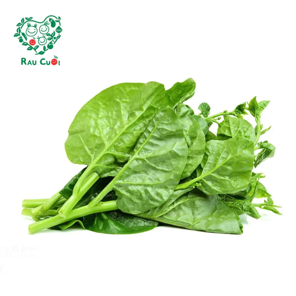 Mồng Tơi - Malabar Spinach (250g) - RAU CUOI VIET NHAT