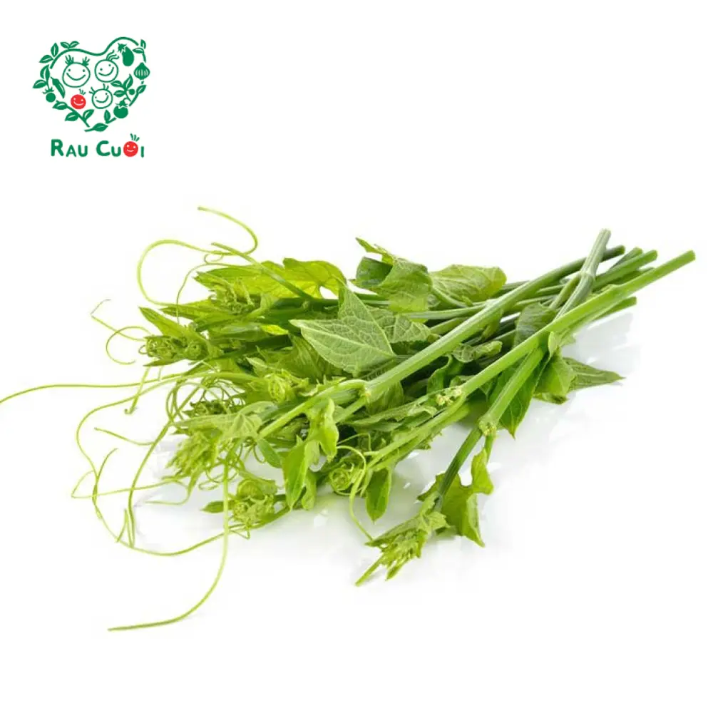 Đọt Su Su - Chayote Shoots (250g) - RAU CUOI VIET NHAT