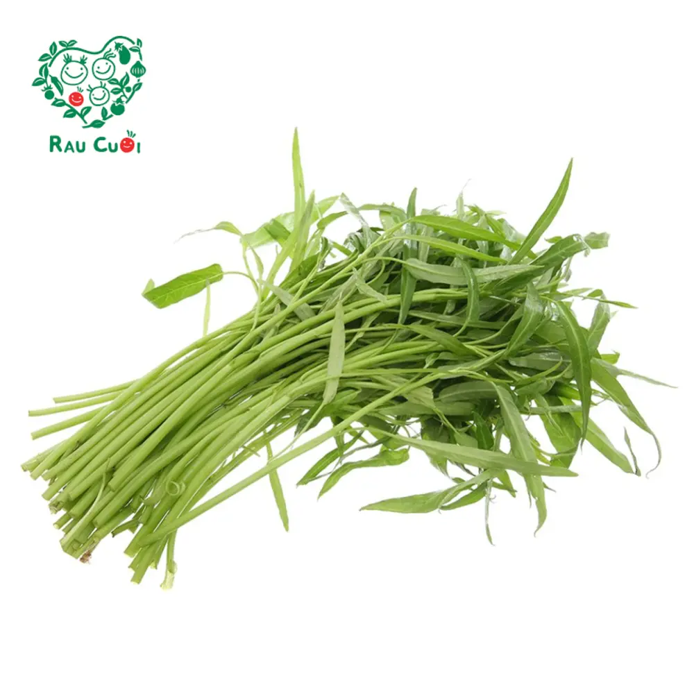 Rau Muống - Morning Glory (250g) - RAU CUOI VIET NHAT