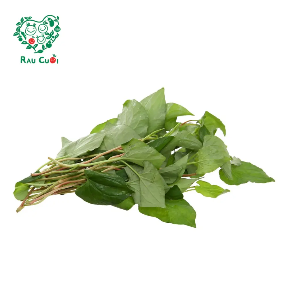 Diếp Cá - Fish Mint Leaves (50g) - RAU CUOI VIET NHAT
