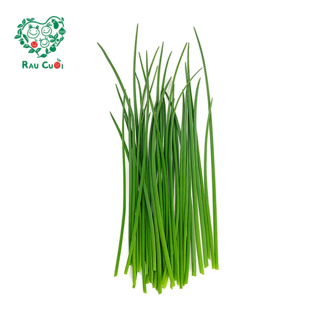 Hẹ Sẻ - Garlic Chives (100g) - RAU CUOI VIET NHAT