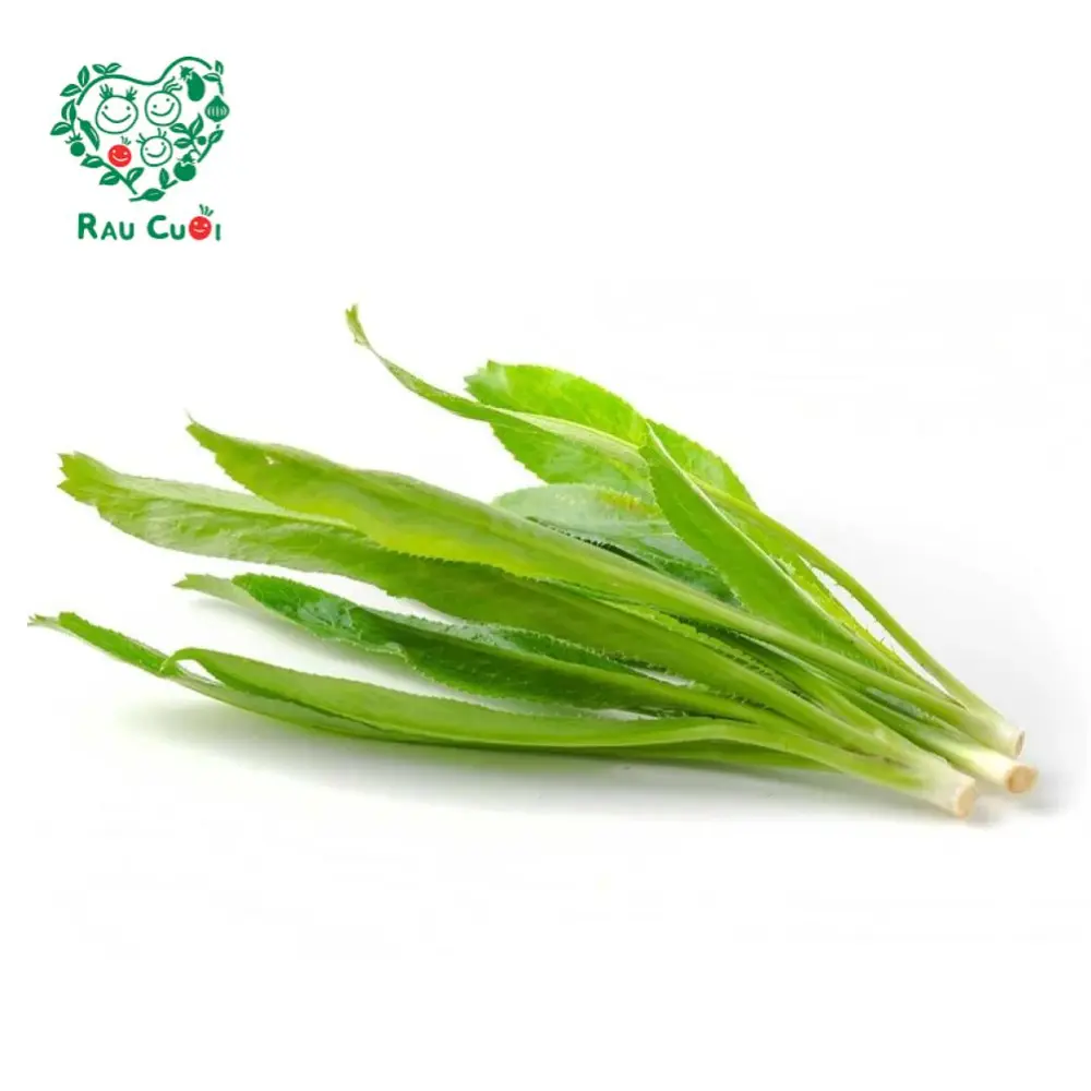 Ngò Gai - Sawtooth Herb (50g) - RAU CUOI VIET NHAT