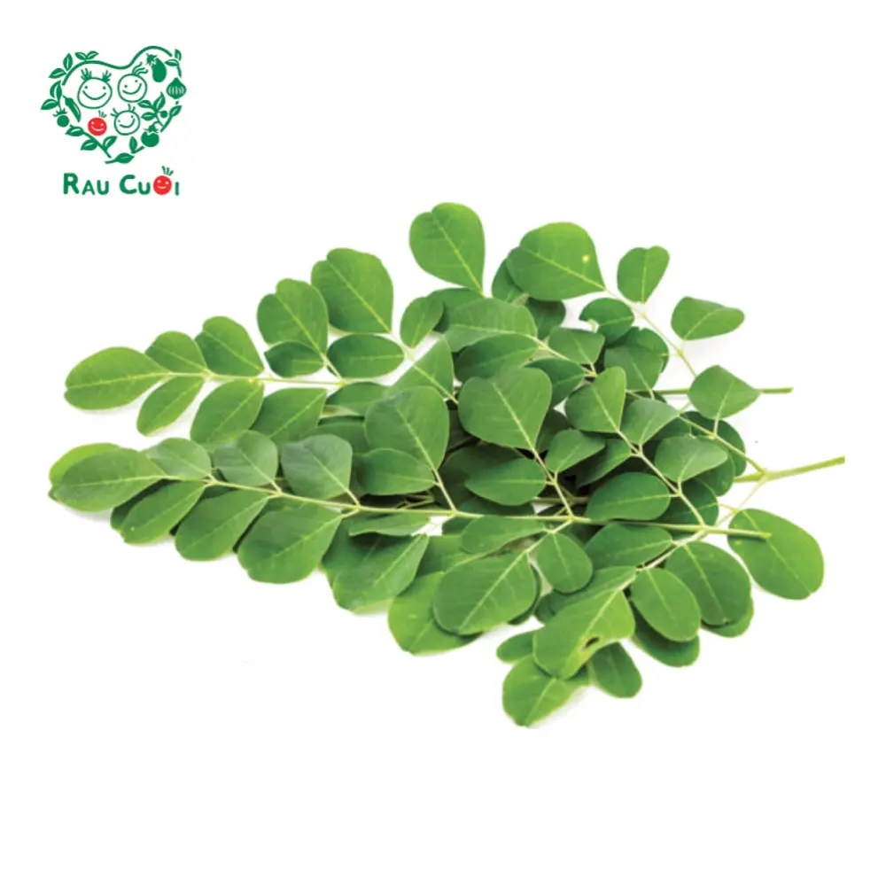 Rau Chùm Ngây - Moringa (250g) - RAU CUOI VIET NHAT