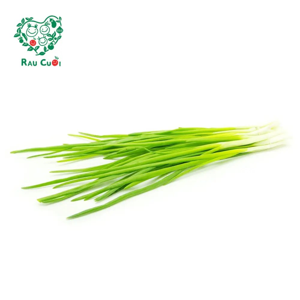 Hành Lá - Spring Onion (100g) - RAU CUOI VIET NHAT