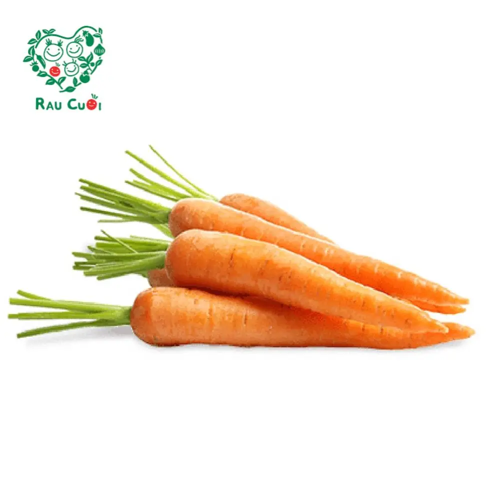 Cà Rốt - Carrots - RAU CUOI VIET NHAT