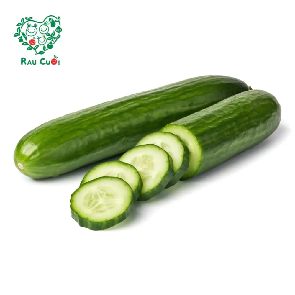 Dưa Leo - Cucumber - RAU CUOI VIET NHAT