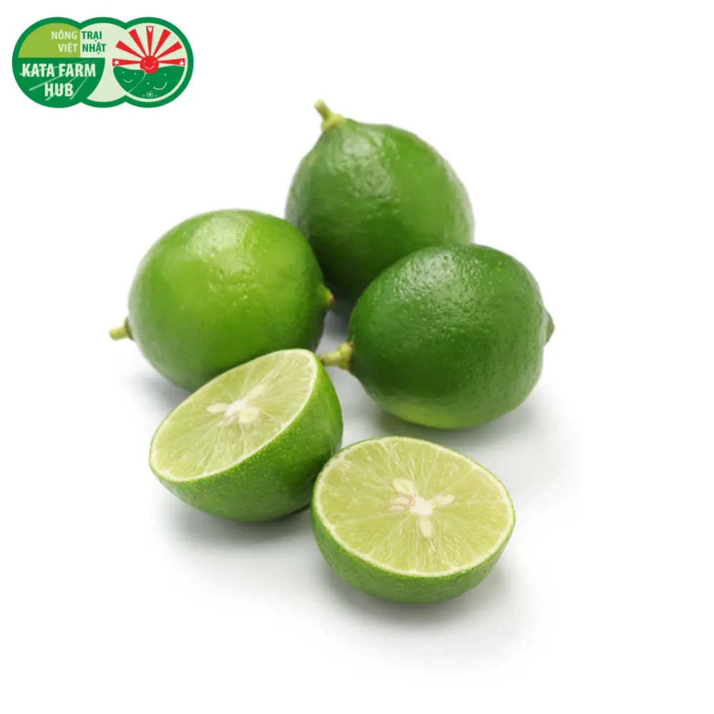 Chanh Giấy - Lime - KATA FARM HUB