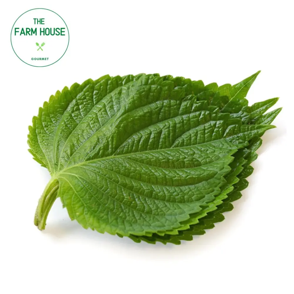 Lá Mè - Korean Perilla Leaves (45g) - THE FARM HOUSE