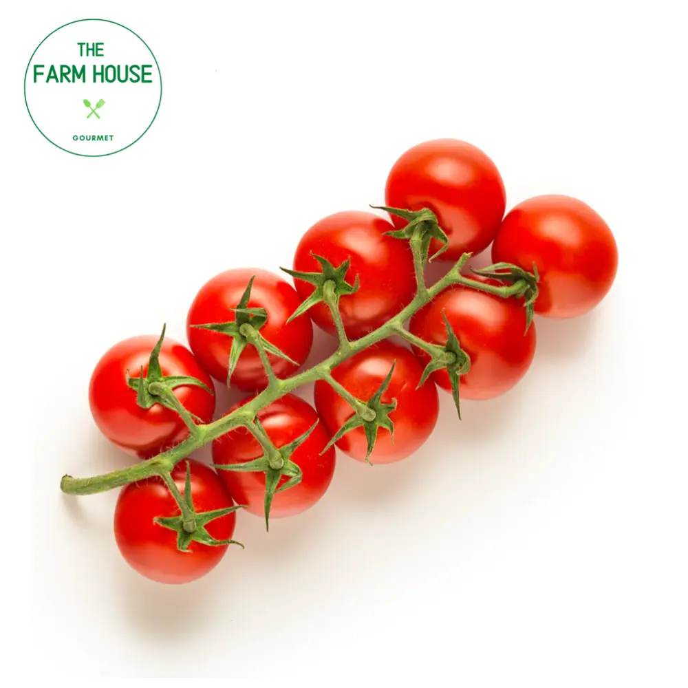 Cà Chua Bi Chùm Đỏ - Cherry Cocktail Tomatoes on The Vine - THE FARM HOUSE