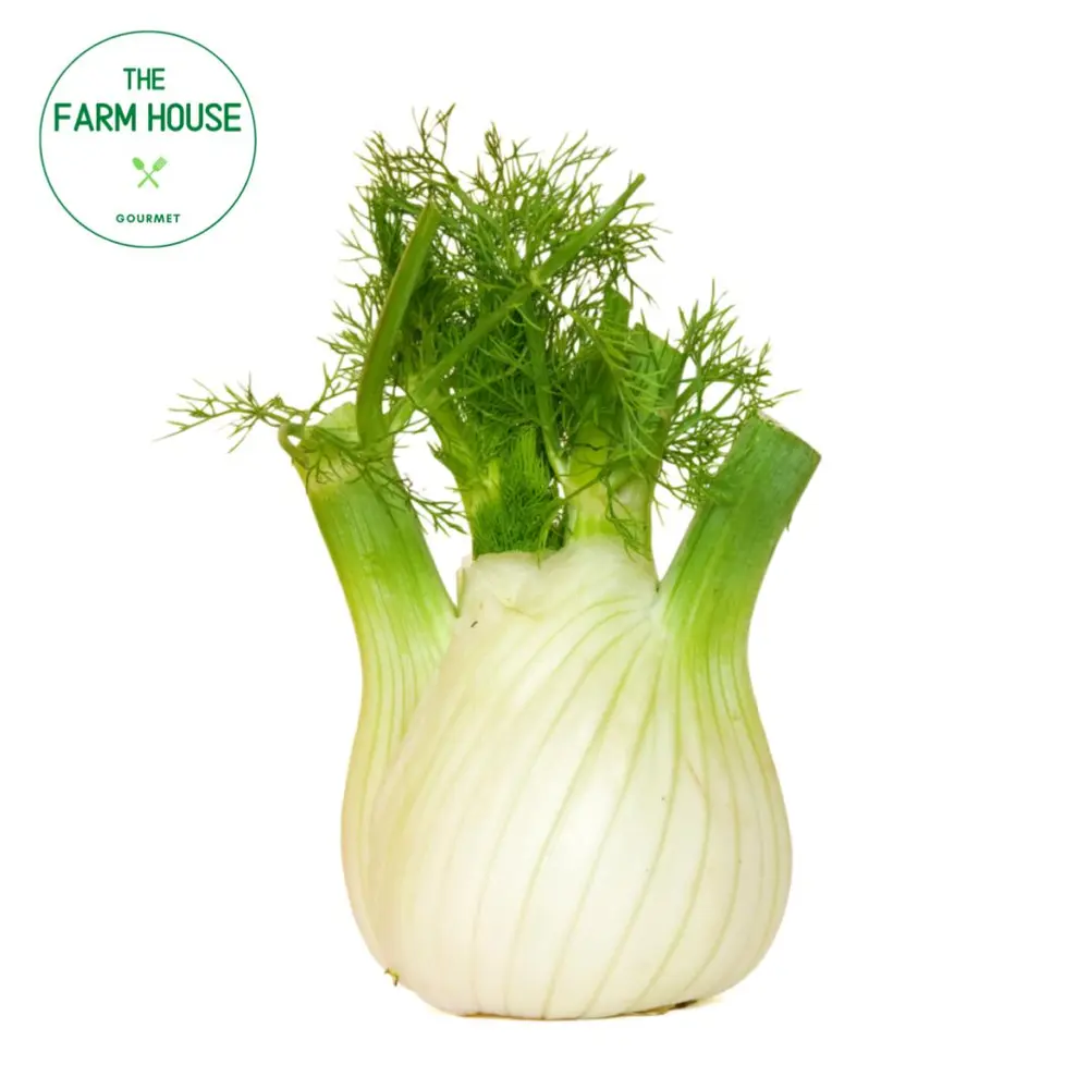Củ Hồi - Fennel - THE FARM HOUSE
