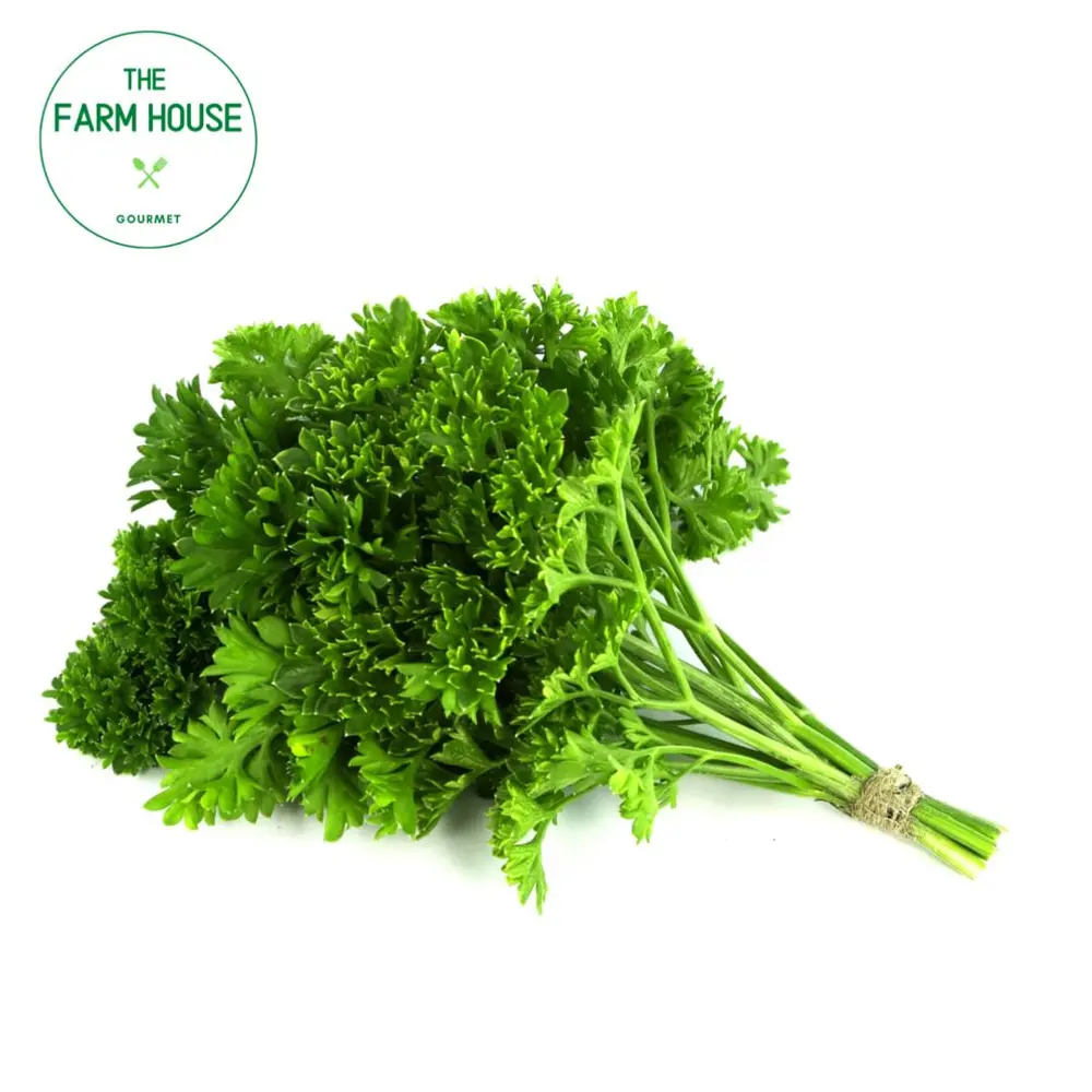 Ngò Tây Xoắn - Curled Parsley (30g) - THE FARM HOUSE