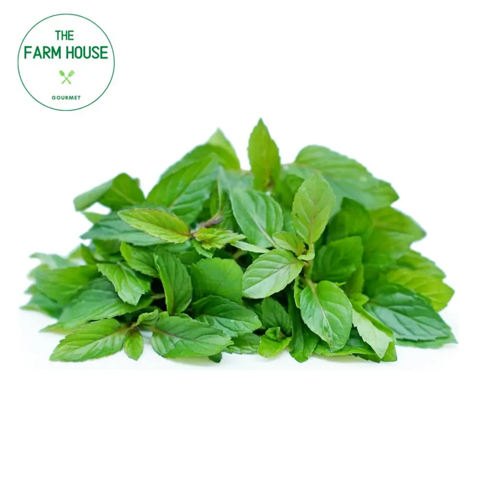 Bạc Hà Socola - Chocolate Mint (25g) - THE FARM HOUSE