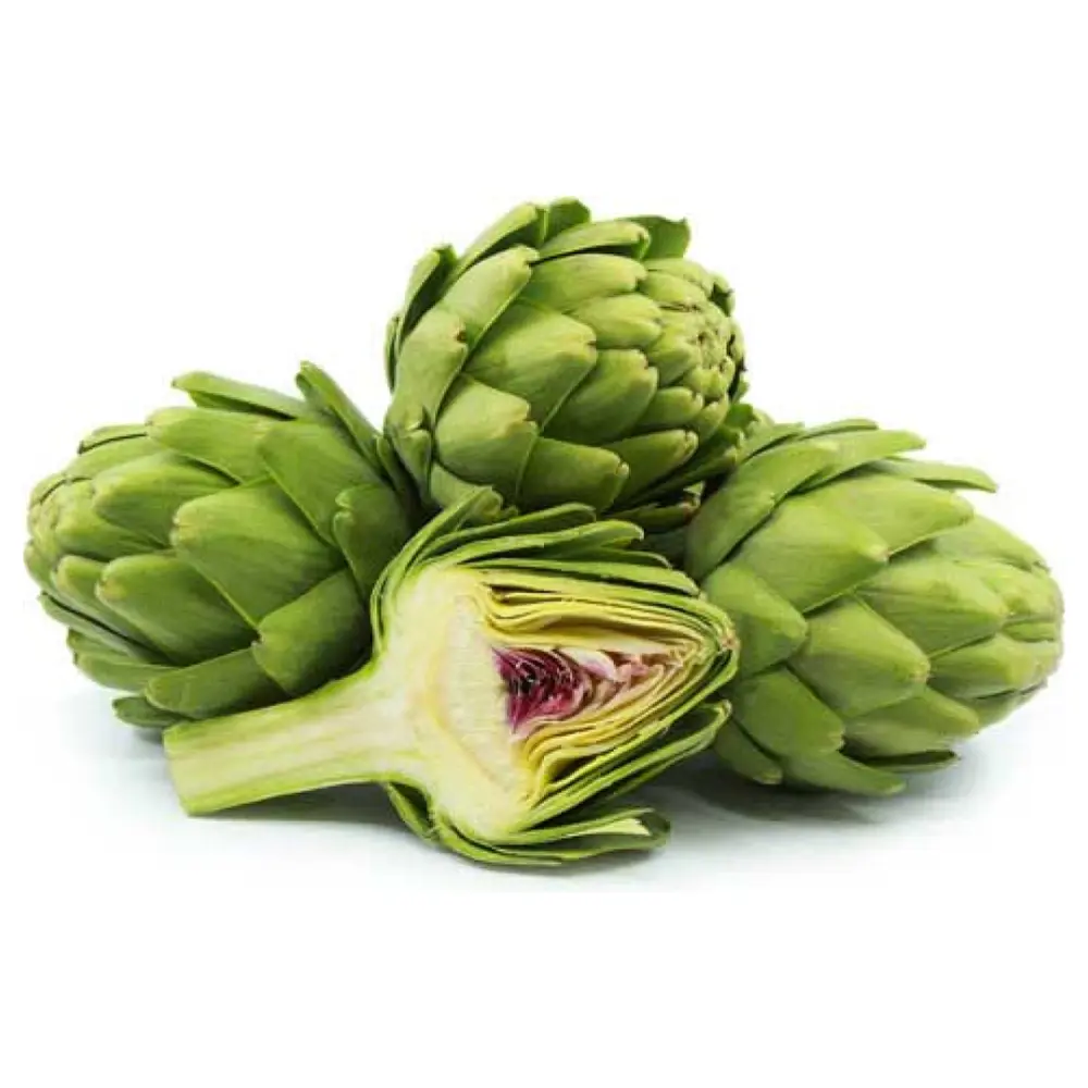 Bông Atiso Úc - Fresh Artichoke - PERFECTION FRESH