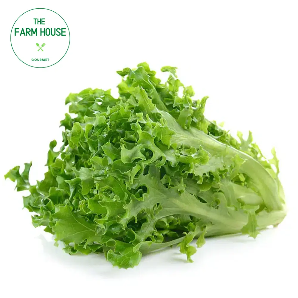 Xà Lách Xoắn Xanh - Green Frisee Lettuce - THE FARM HOUSE