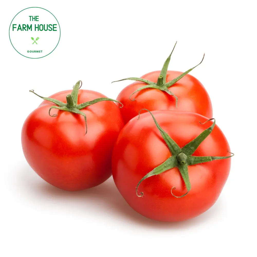 Cà Chua Thường - Tomato - THE FARM HOUSE