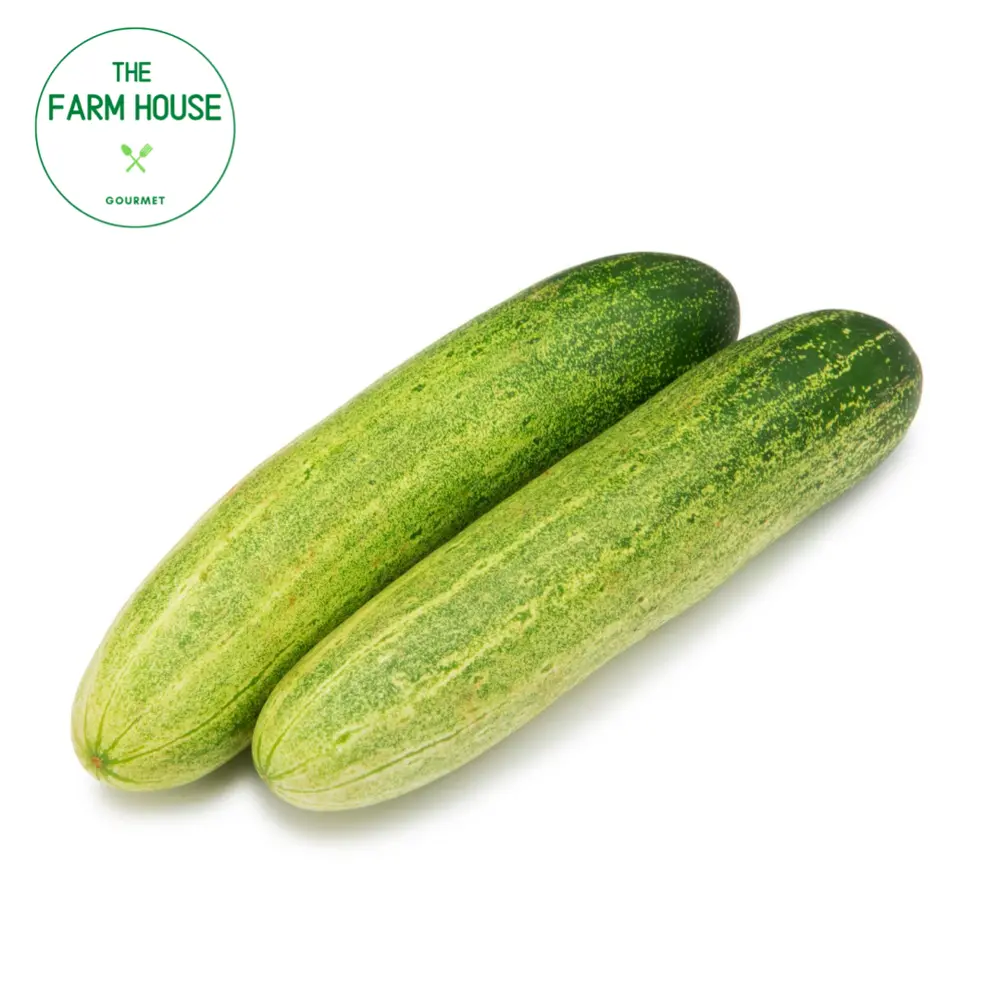Dưa Leo Lớn - Cucumber - THE FARM HOUSE