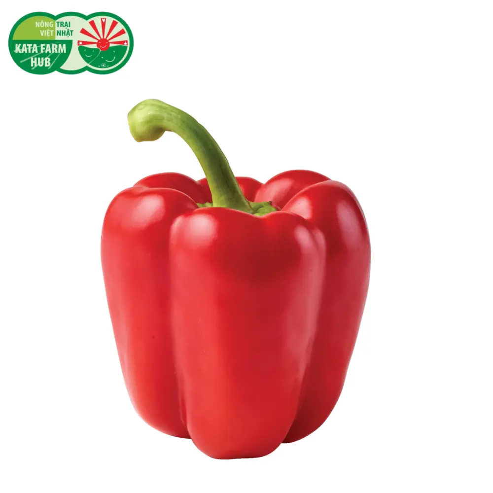 Ớt Chuông Đỏ - Red Bell Pepper - KATA FARM HUB