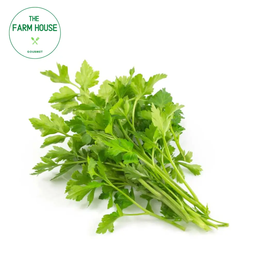 Ngò Rí Tây - Chervil (30g) - THE FARM HOUSE
