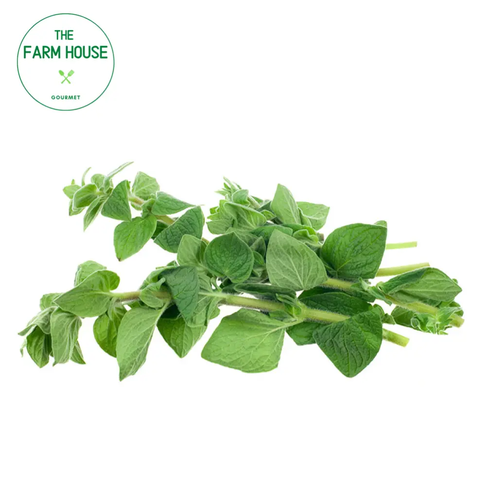 Kinh Giới - Oregano (50g) - THE FARM HOUSE