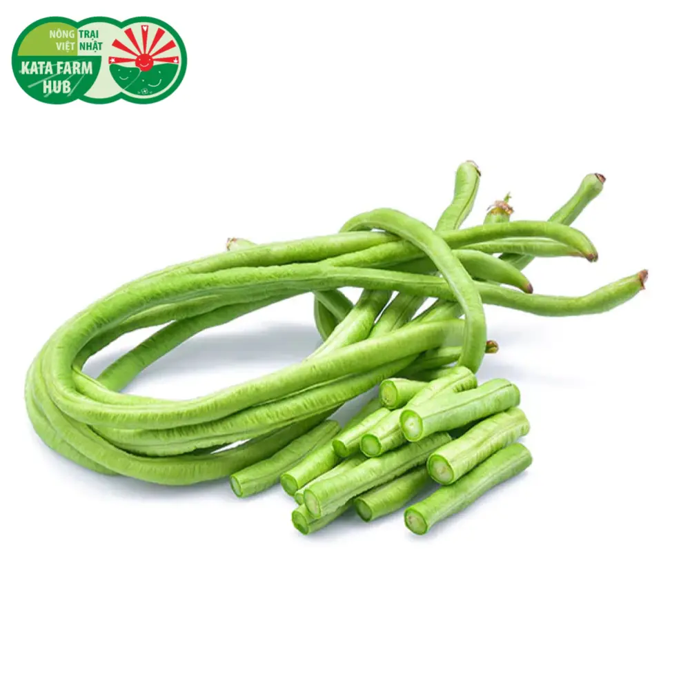 Đậu Đũa - String Beans - KATA FARM HUB