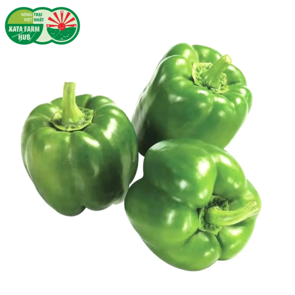 Ớt Chuông Xanh - Green Bell Pepper - KATA FARM HUB