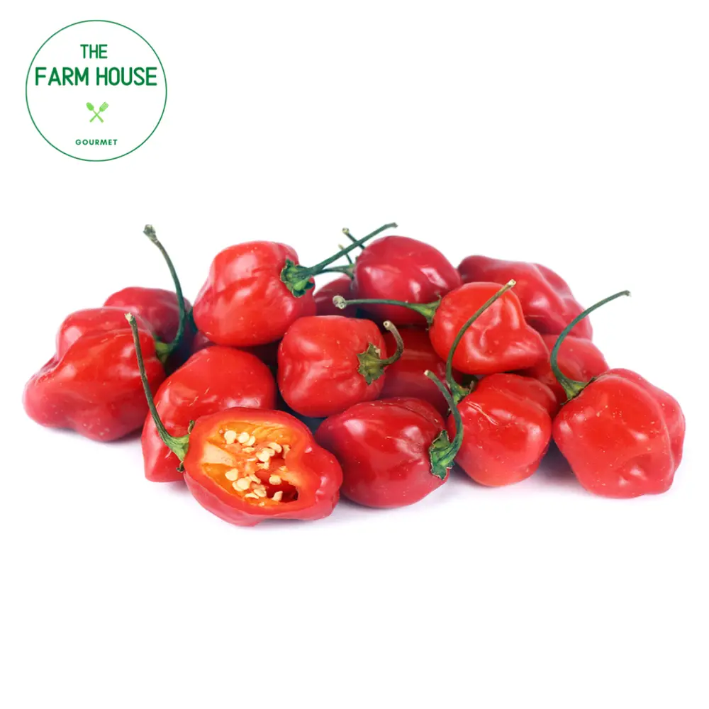 Ớt Habanero Đỏ - Habanero Pepper - THE FARM HOUSE