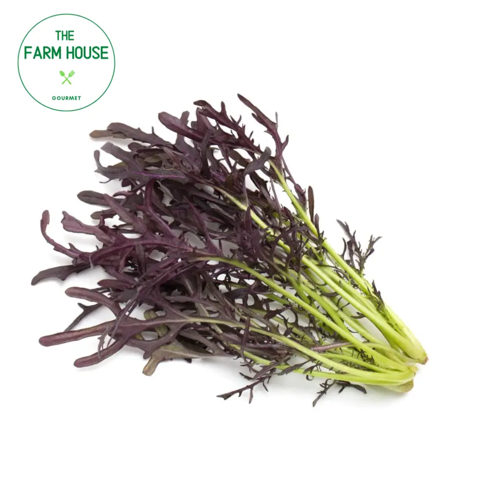 Cải Mù Tạt Mizuna Đỏ - Mizuna Red Streaks Mustard - THE FARM HOUSE
