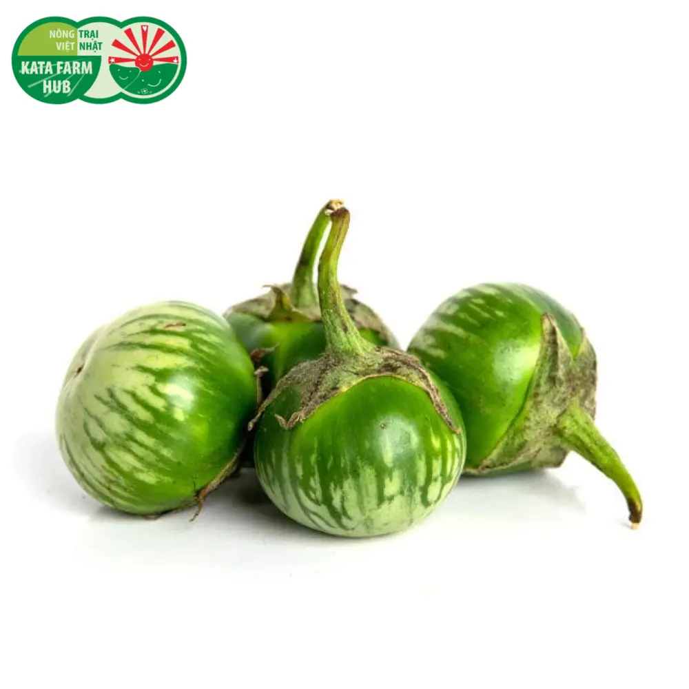 Cà Xanh Trứng - Thai Round Green Eggplant (300g) - KATA FARM HUB