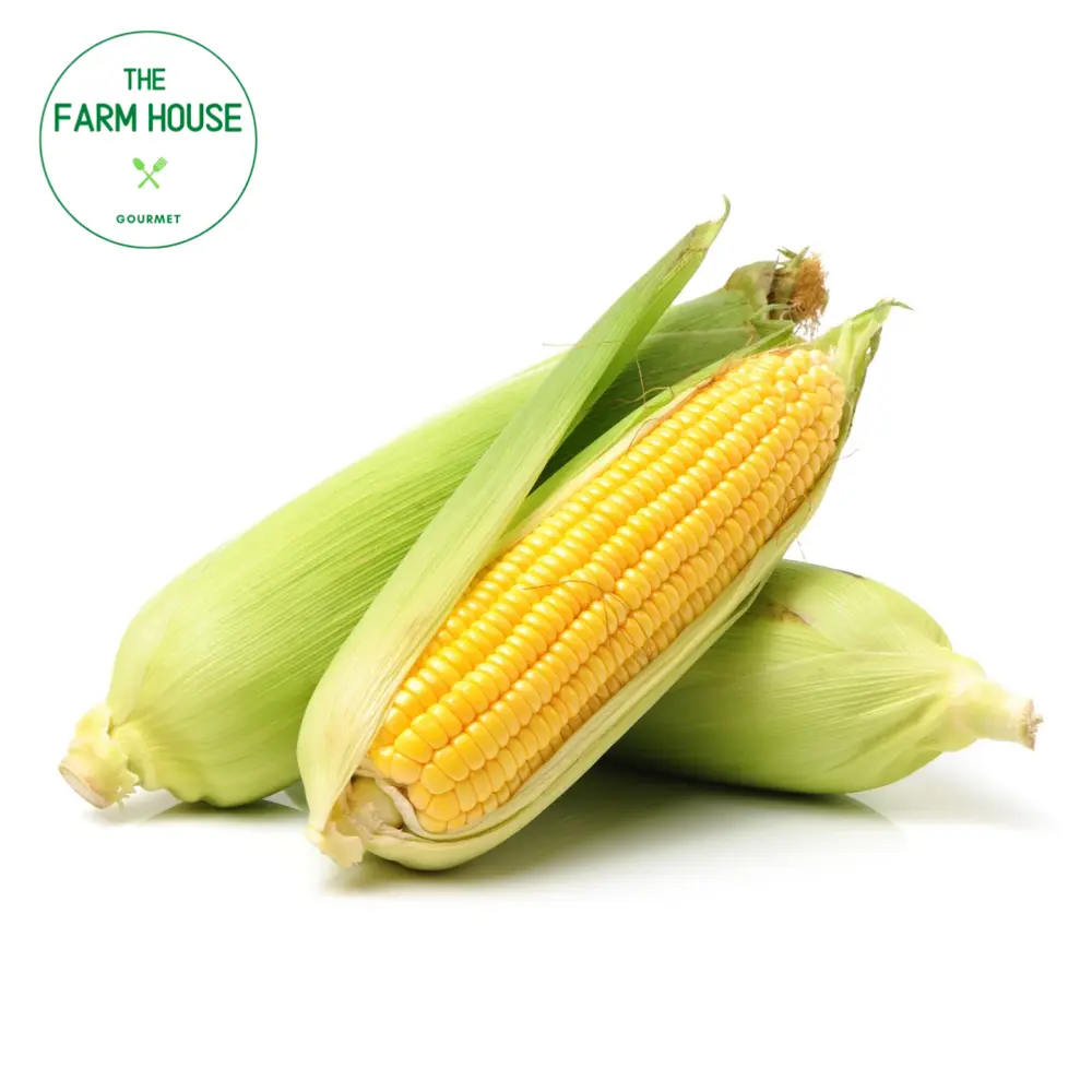 Bắp Mỹ Đà Lạt - Da Lat Fresh Corn on The Cob (400 - 500g) - THE FARM HOUSE