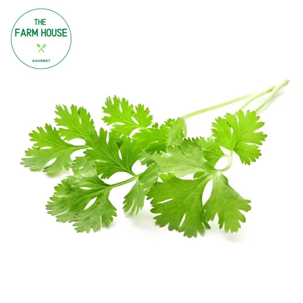 Ngò Rí - Coriander (50g) - THE FARM HOUSE