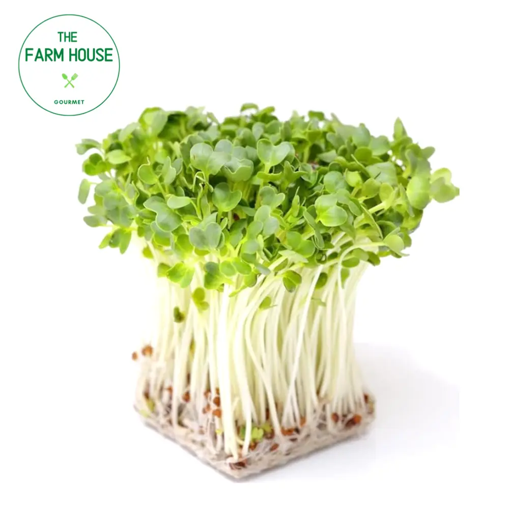 Mầm Bông Cải Xanh - Broccoli Microgreens (150g) - THE FARM HOUSE